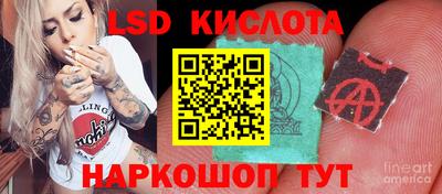 стаф Гусев