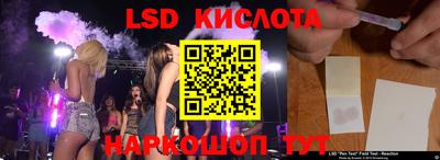 стаф Гусев