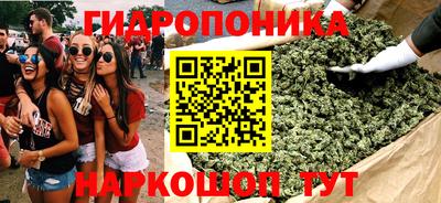 стаф Гусев