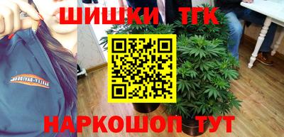 мдпв Гусь-Хрустальный