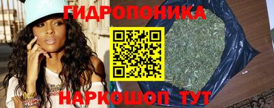 мдпв Гусь-Хрустальный